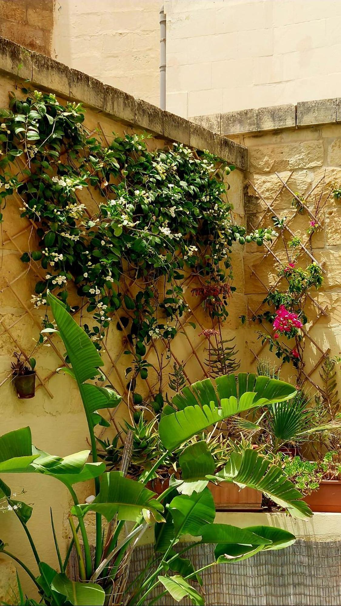 Kerċem Ta' Didi B&B מראה חיצוני תמונה