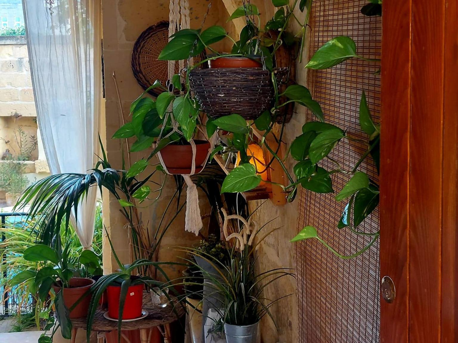 Kerċem Ta' Didi B&B מראה חיצוני תמונה